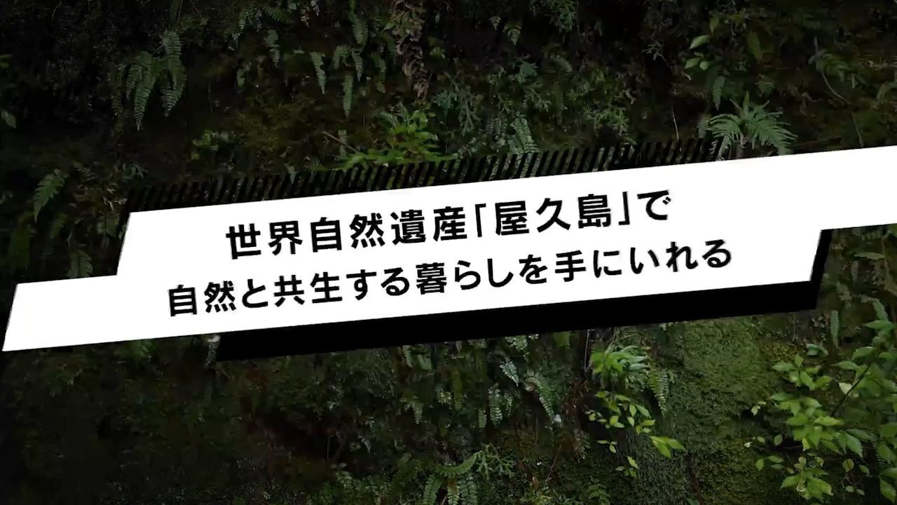 A scene from the commercial, with a line of copy over the forest on Yakushima